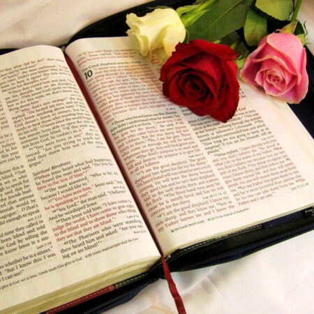 dd4en Leadership: Biblical basics and Practice