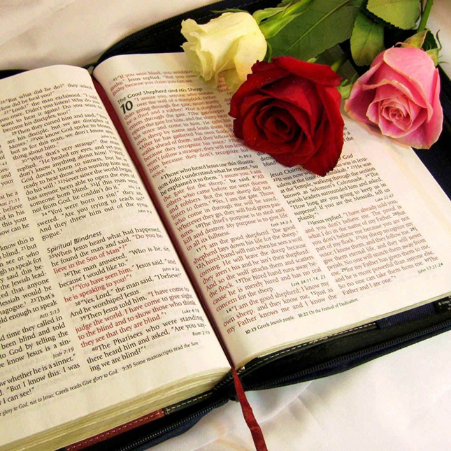 Leadership: Biblical basics and Practice